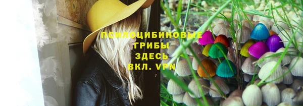 прущая мука Алзамай