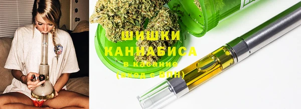 спайс Алексин