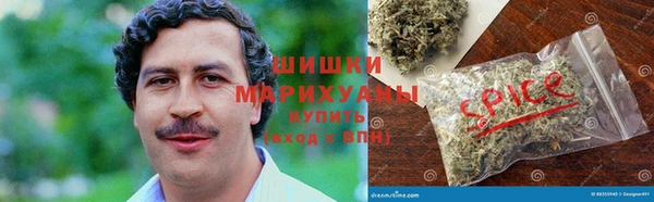 спайс Алексин