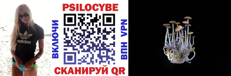 KRAKEN ССЫЛКА  Артём  Галлюциногенные грибы Psilocybe  как найти закладки 